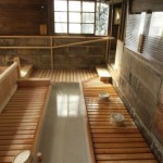 鹿の湯 かぶり湯