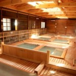 鹿の湯 内湯