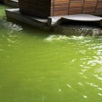 鳴子温泉　鳴子ホテル 芭蕉の湯　鶯色に変化