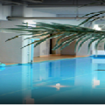 宮城県作並温泉　鷹泉閣 岩松旅館の室内温泉プール