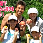 山梨　桃狩り