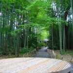 竹林の小径