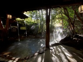 黒川温泉いこい旅館滝の湯