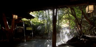 黒川温泉いこい旅館滝の湯