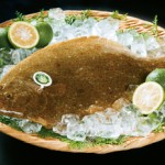 かぼすヒラメ