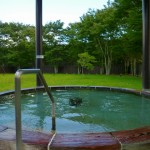 日量230ｔの豊富な湯量の源泉