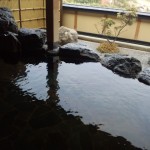 黒褐色でトロンとした肌触りの濁り湯