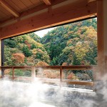 紅葉館 別庭 あざれ 内風呂