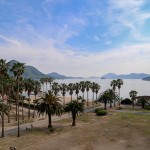 客室からの眺め