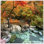 花と華の露天風呂写真