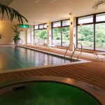 一心舘の温泉プール写真