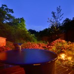 芽瑠鼓の露天風呂写真