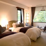 芽瑠鼓の客室写真