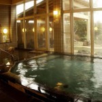 TOWAピュアコテージ浴場