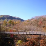 紅葉と弁天吊橋