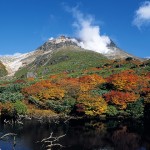茶臼岳の紅葉