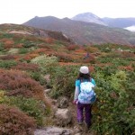 三本槍岳登山道