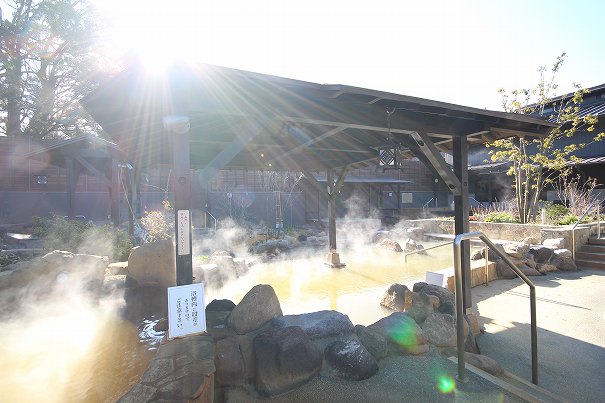杉戸温泉「雅楽の湯」の岩風呂の写真