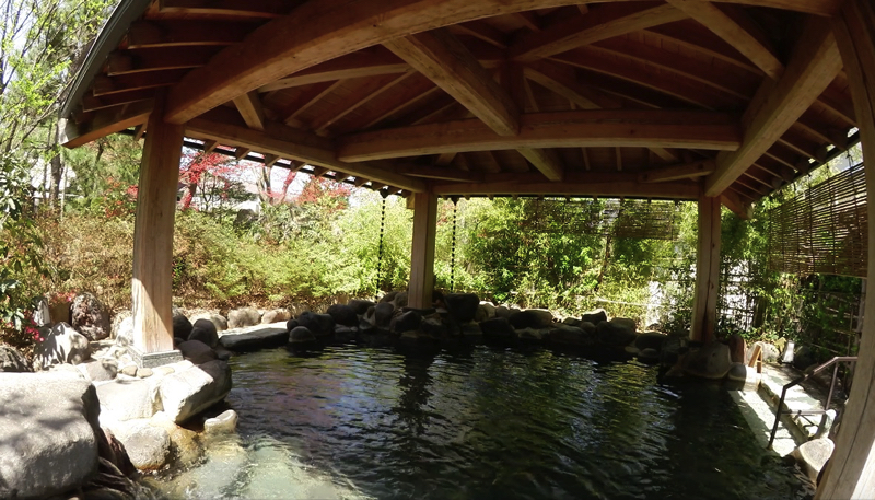 秋保温泉の岩沼屋の露天風呂の写真