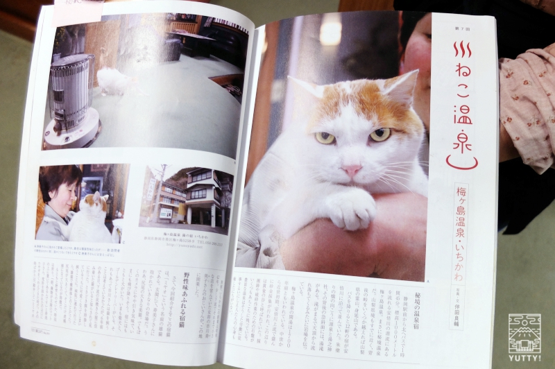 梅ヶ島温泉【湯の宿いちかわ】の看板猫が取材されている雑誌の写真