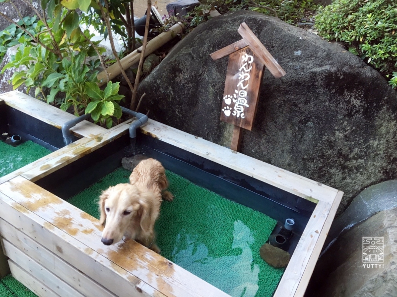 小川家さん側にあるわんわん風呂の写真
