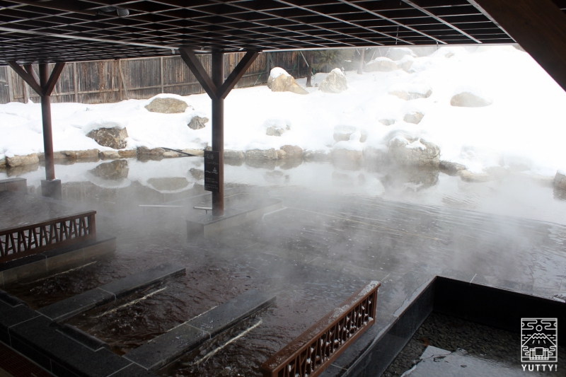 十勝川温泉第一ホテル「森の清流・滝壺の湯」の浴槽の写真