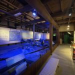 いろは丸の展示の写真