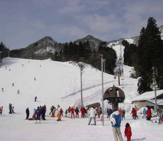 村上市ぶどうスキー場